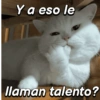 Y a eso le llaman talento?