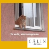 Câlin Tienda 7