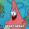 8 SESAT SESAT B