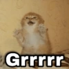 gayslov Grrrrr