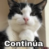 Continúa