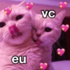 Te amo 6