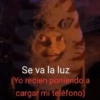 🥚😸Huevo disfrazado de Gato😸🥚 28
