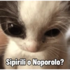 Random 22 10