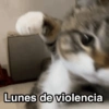 A Lunes de violencia