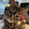 🧿Onichan Random🤪📱📲 18