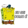 EU SEI COMO É