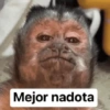 MEMES XD  23