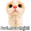 Frases de gatito #2🐱💬 8