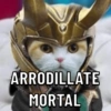 Gatos 7