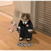 Gatitos 7