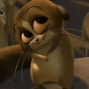 शरारती रिएक्शंस 😈🫦 10 🦝