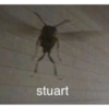 Tumba la casa mami😎 24