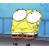 Meme SpongeBob 22