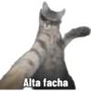 Michis Caóticos🐱 9