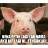 Meme baru 8