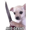 Anomali Binatang 8