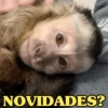 NOVIDADES?