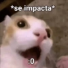 *se impacta* :0
