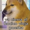 ya cierra el hocico vieja puerka
