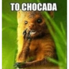 TO CHOCADA