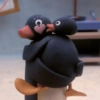Pingüino penguin 😎 14
