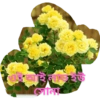 Bengali sticar 11