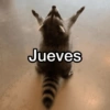 Memes 41 24