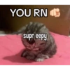 Hehe 29