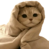 Kucing 7