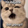 Ya bájate del pony!!