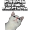 Stickers CON Texto✔️ 14