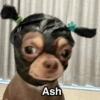 Ash