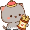 CHIBI IMLEK  5