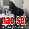 Solteiro não trai 5