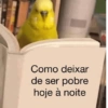 Hum 14