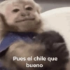 Pues al chile que bueno