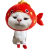 Funny cat memes 10