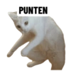PUNTEN