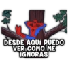 DESDE AQUÍ PUEDO VER COMO ME IGNORAS