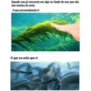 Memes 7