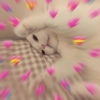 Romantic cats ❤️🐈 5