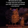 🥚😸Huevo disfrazado de Gato😸🥚 22