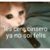 Ola ando hot 9