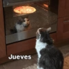 Rreacciones para JUEVES 4 3