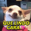 QUE LINDO CARA