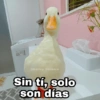 Sin tí, solo son días