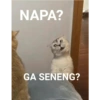 NAPA? GA SENENG?