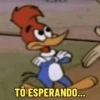 Memes do Pica-Pau  16