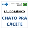 LAUDO MÉDICO SINCERO 📝🩺 6